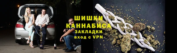 гидра Инта