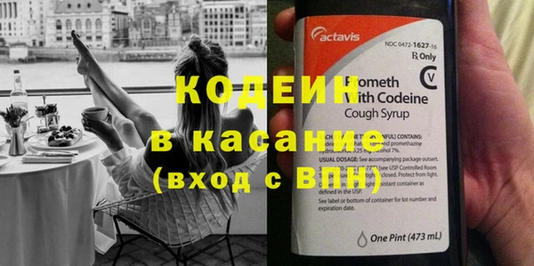 дмт Бородино